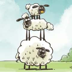 Sheep Home Sheep